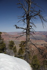 Grand Canyon Trip 2010 492